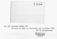 Image Associated With the Occurence